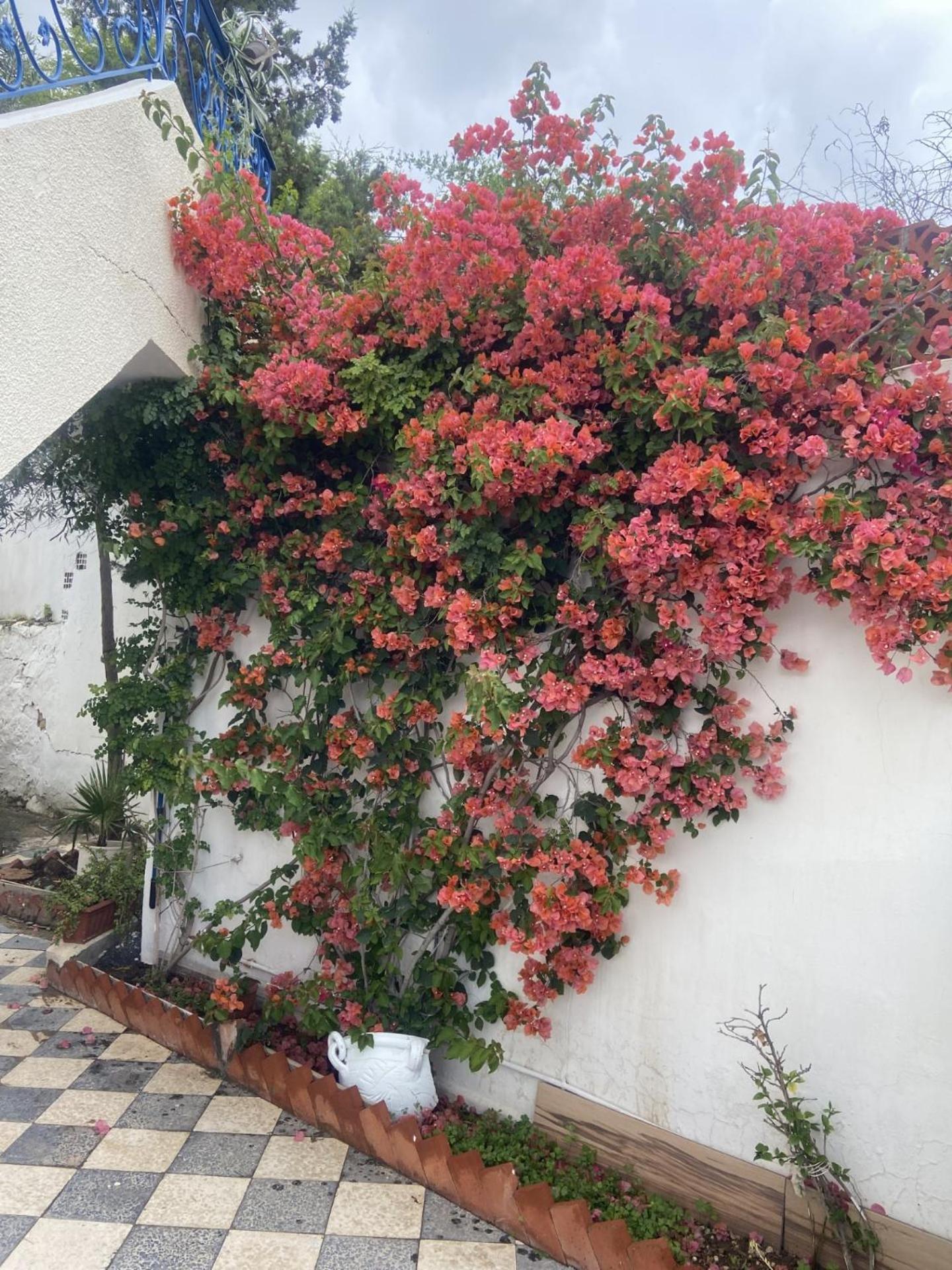 Maison A El Omrane . Túnez Exterior foto